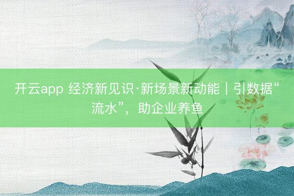 开云app 经济新见识·新场景新动能｜引数据“流水”，助企业养鱼
